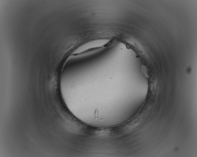 X0000094810362200711241451