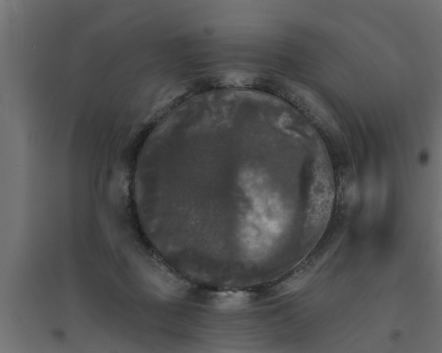 X0000094810363200711241451