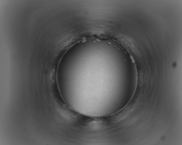 X0000094810364200711241451