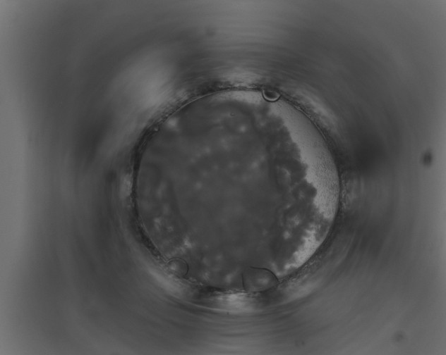 X0000094810365200711241451