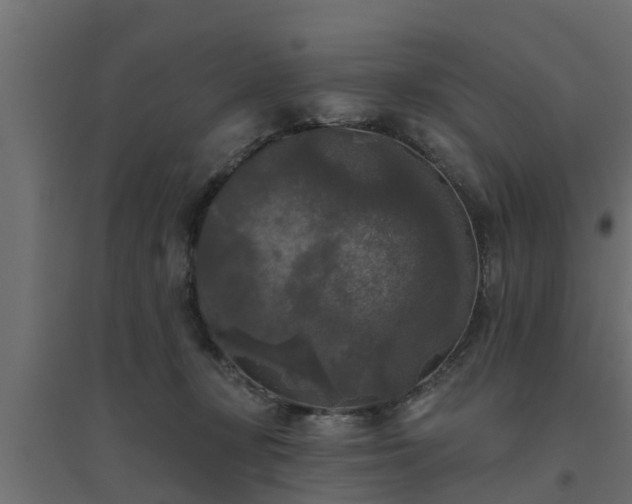 X0000094810367200711241451