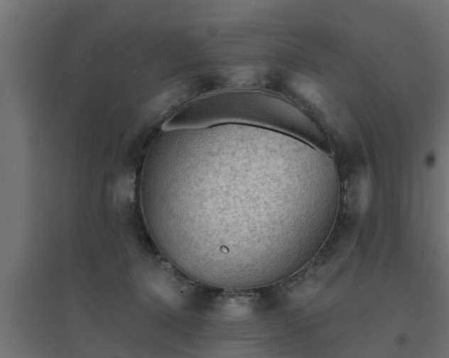 X0000094810368200711241451