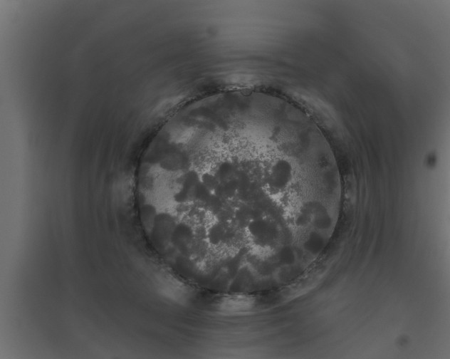 X0000094810369200711241451