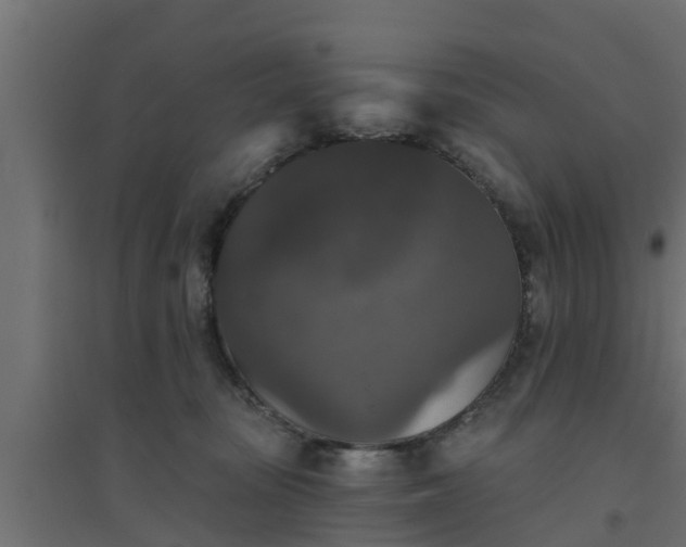 X0000094810371200711241451