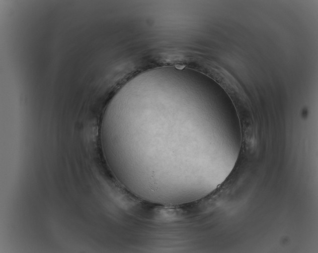 X0000094810372200711241451