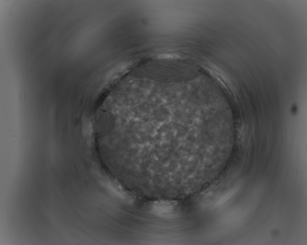 X0000094810373200711241451