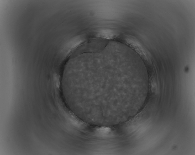 X0000094810374200711241451