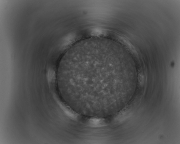 X0000094810375200711241451