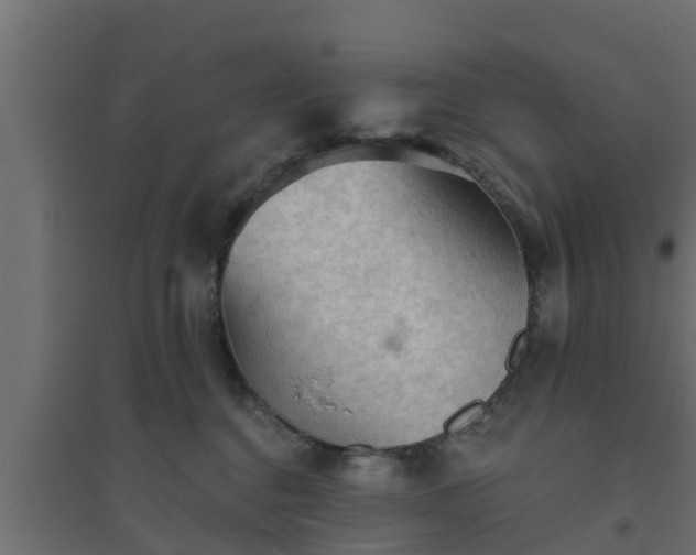 X0000094810376200711241451