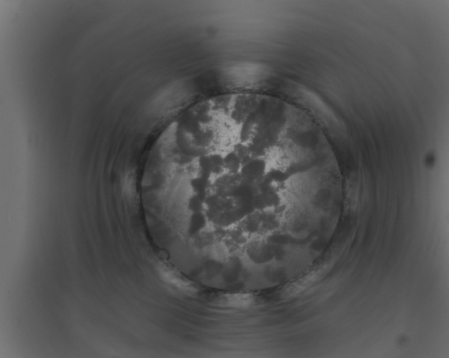 X0000094810377200711241451