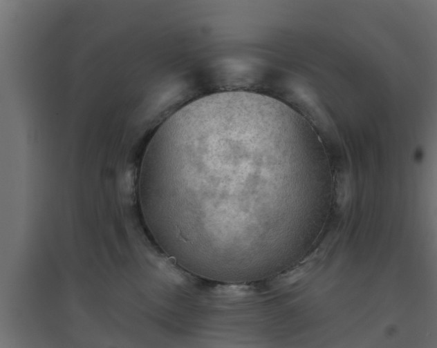 X0000094810378200711241451