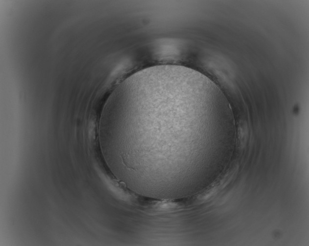 X0000094810379200711241451