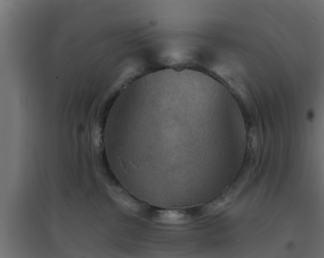 X0000094810380200711241451