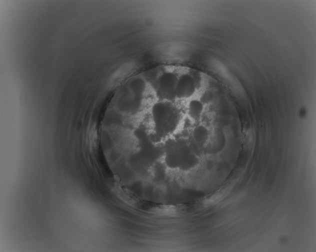 X0000094810381200711241451