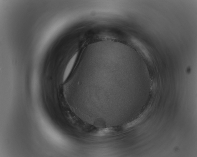 X0000094810382200711241451