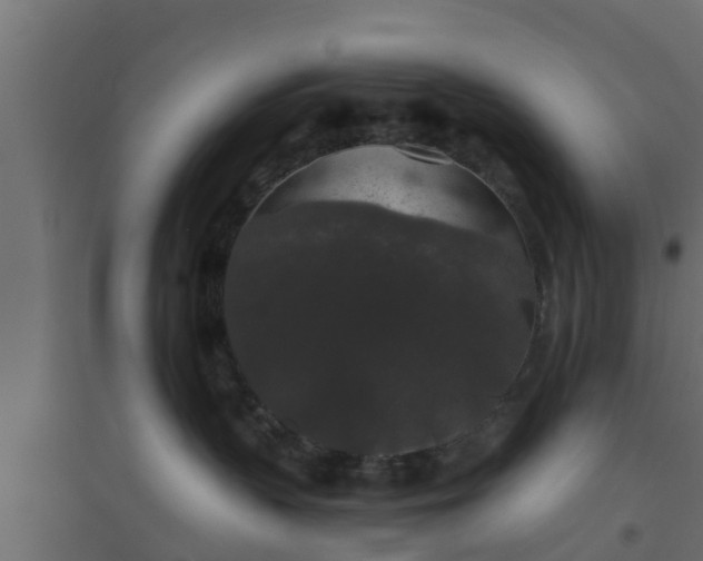 X0000094810383200711241451