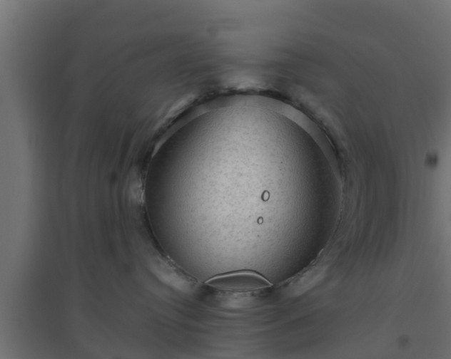 X0000094810384200711241451