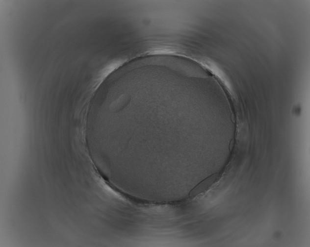 X0000094810385200711241451