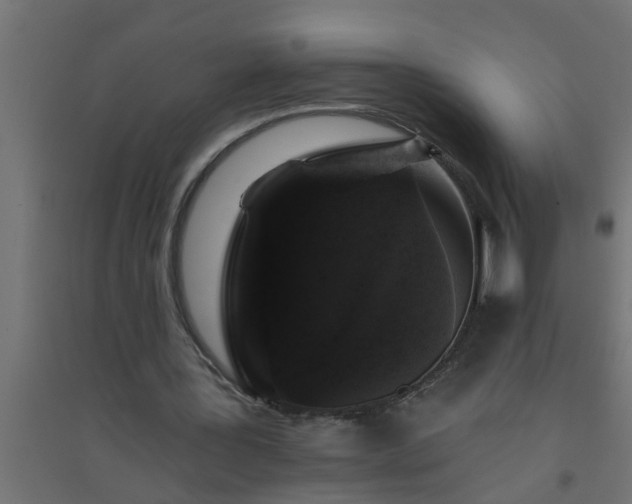 X0000094810387200711241451