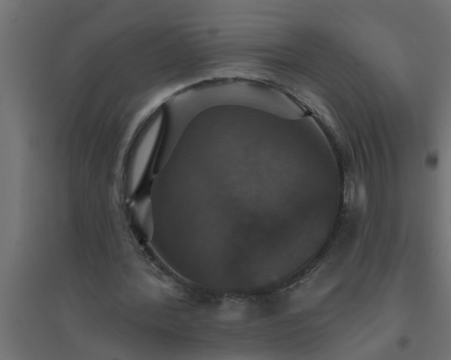 X0000094810388200711241451