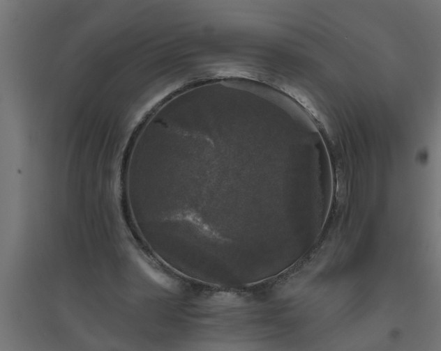 X0000094810390200711241451