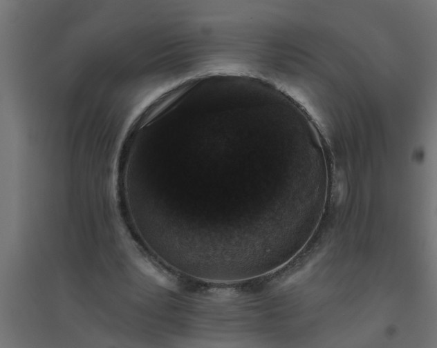 X0000094810391200711241451