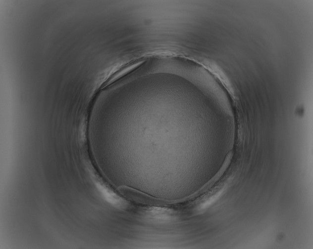 X0000094810393200711241450