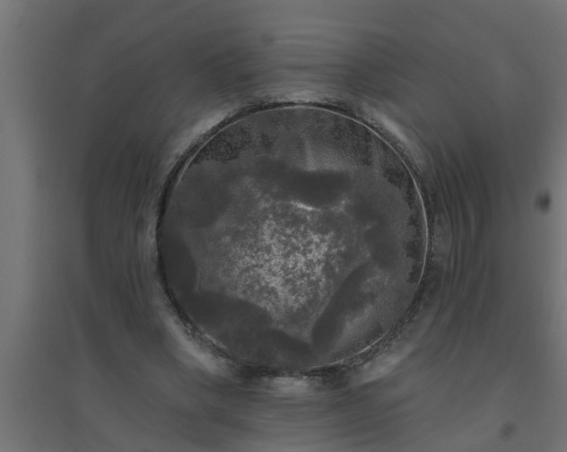 X0000094810394200711241450