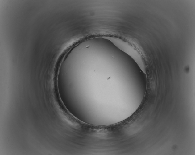 X0000094810395200711241450