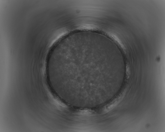 X0000094810396200711241450