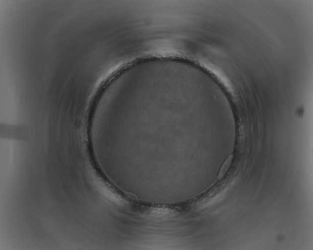 X0000094810399200711241450