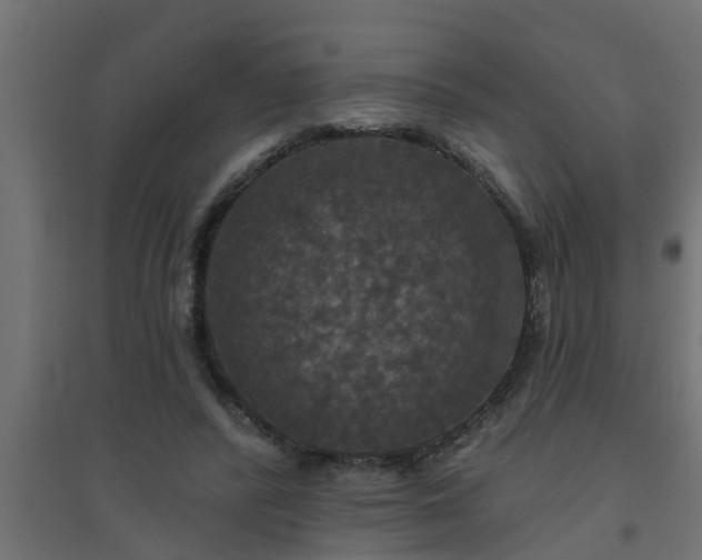 X0000094810400200711241450