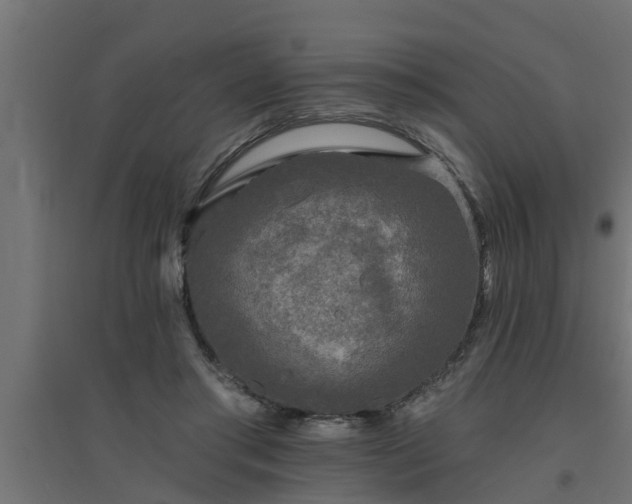 X0000094810405200711241450