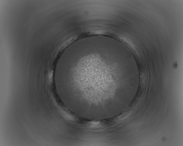 X0000094810406200711241450