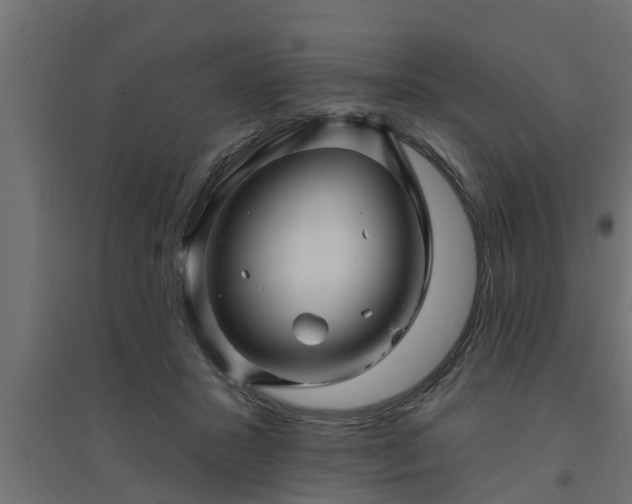 X0000094810407200711241450