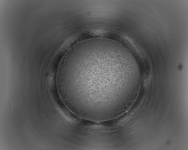 X0000094810408200711241450