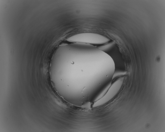 X0000094810409200711241450