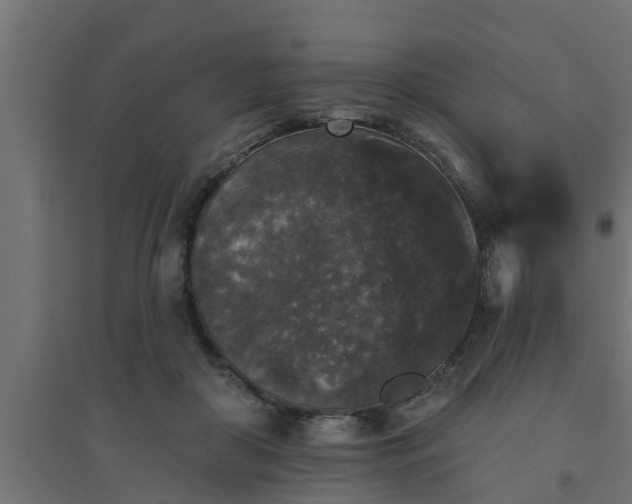 X0000094810410200711241450