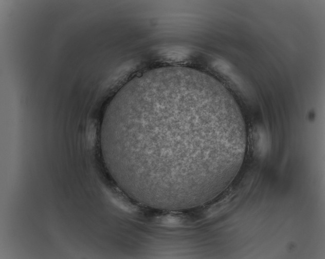 X0000094810412200711241450