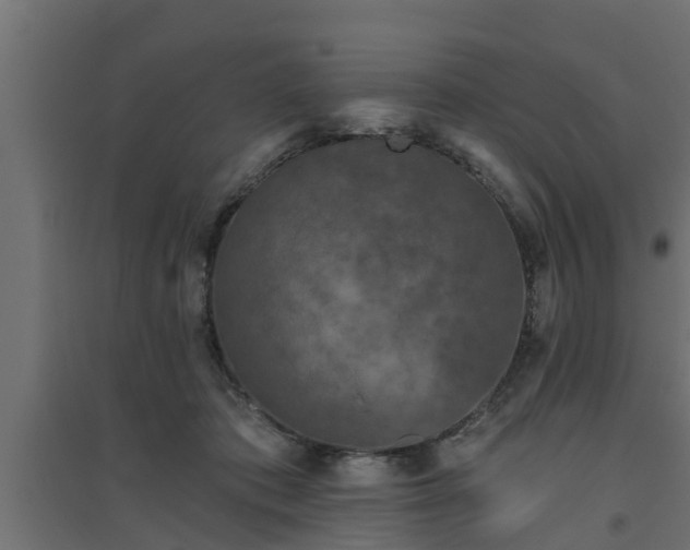 X0000094810413200711241450