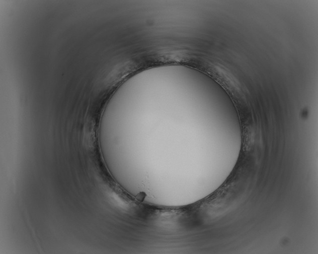 X0000094810414200711241450