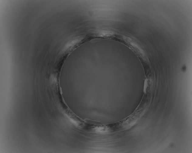 X0000094810415200711241450