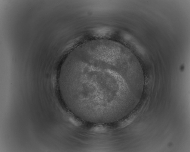 X0000094810416200711241450