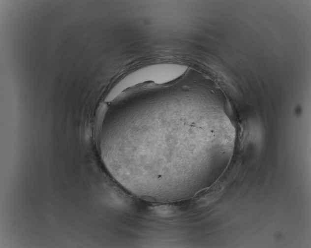 X0000094810417200711241450