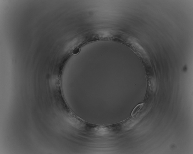 X0000094810419200711241450