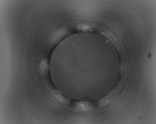 X0000094810420200711241450