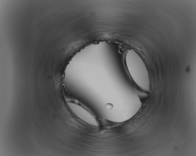 X0000094810423200711241450