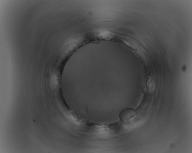 X0000094810424200711241450