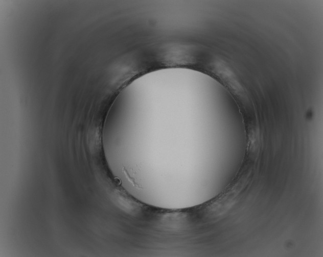 X0000094810426200711241450