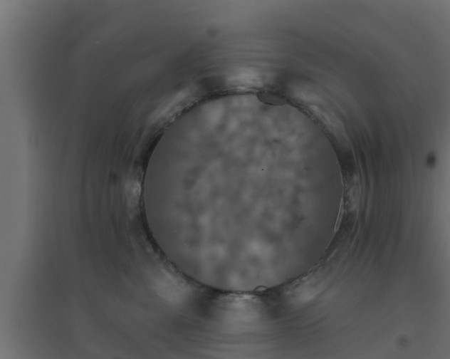 X0000094810427200711241450